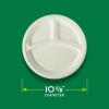imageHefty ECOSAVE Compostable Paper Plates 1018 Inch 45 Count1018in Plate