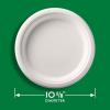 imageHefty ECOSAVE Compostable Paper Plates 1018 Inch 45 Count1018in Plate