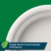imageHefty ECOSAVE Compostable Paper Plates 1018 Inch 45 Count1018in Plate