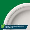 imageHefty ECOSAVE Compostable Paper Plates 1018 Inch 45 Count22 Count