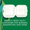 imageHefty ECOSAVE 3 Compartment Hinged Lid Containers 9 x 9 Inch 50 Count Pack of 2 100 TotalSandwich 6 x 6  200 Total